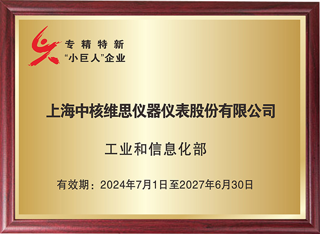 xin-奖牌更新2025.2.24.jpg